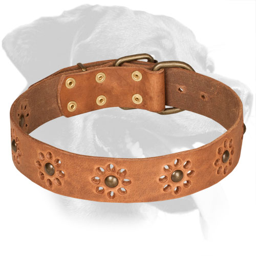 Flower Design Tan Leather Rottweiler Collar with Brass Studs