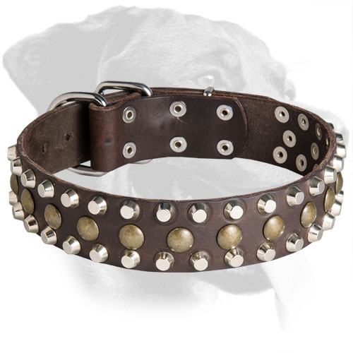 Leather Rottweiler Collar Decorated with Mixed Studs