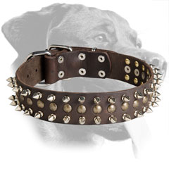 Leather Rottweiler Collar Decorated with Mixed Elements