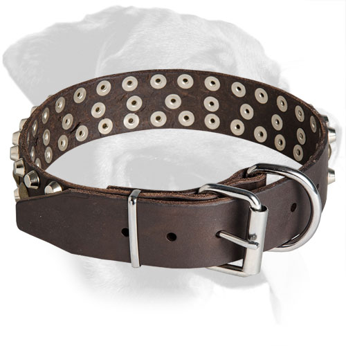 Leather Rottweiler Collar with Shining Nickel Fittings