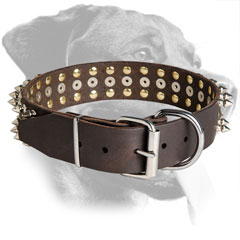 Leather Rottweiler Collar Equipped with Nickel Hardware