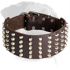 Leather Rottweiler Collar Decorated with Nickel Pyramids