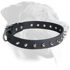 Leather Rottweiler Collar Decorated with Nickel Spikes