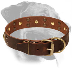 Leather Rottweiler Collar Equipped with Reliable Buckle