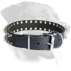 Spiked Leather Rottweiler Collar with Nickel Plated Hardware