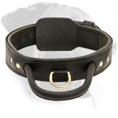 Leather Rottweiler Collar With Reliable Handle and Brass D-Ring