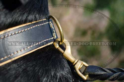 Rottweiler Padded Leather Collar with Brass D-ring