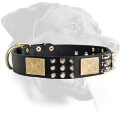 Rottweiler Leather Collar with plates, spikes and cones