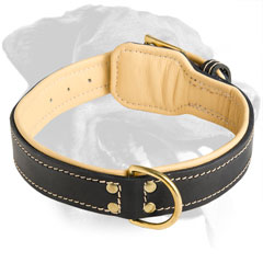 Rottweiler Breed Nappa Padded Leather Collar
