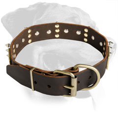 Rottweiler Breed Amazing Leather Collar with plates