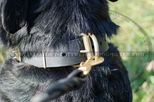 Strong  Brass Hardware of Rottweiler Leather Collar