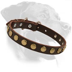 Quality Rottweiler Leather Dog Collar