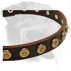 Cool Rottweiler Leather Dog Collar
