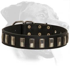 Rottweiler Leather Dog Collar with vertical plates