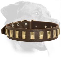 Riveted Rottweiler Leather Dog Collar