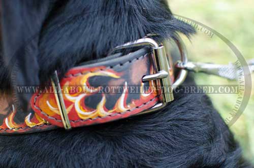 Rottweiler Stylish Leather Collar with Flames