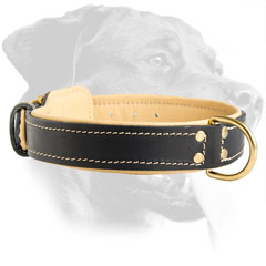 Stylish Rottweiler Leather Collar with special padding