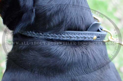Stylish Hand Made Braid on Leather Dog Collar