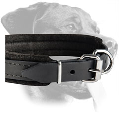 Rottweiler Adjustible Training Padded Leather Collar