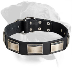 Rottweiler Elegant Design Leather Collar
