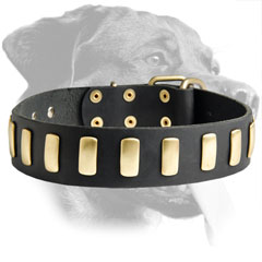 Gorgeous Rottweiler Leather Collar with decoration