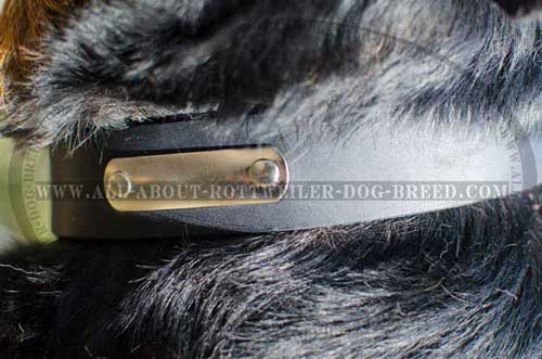 Everyday Rottweiler Dog Leather Collar with ID tag