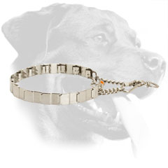 Stainless Steel Rottweiler Neck Tech Collar Equipped with Two O-Rings