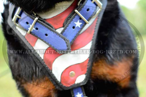 Stylish American Flag Painted Chest Plate on Leather Dog Harness