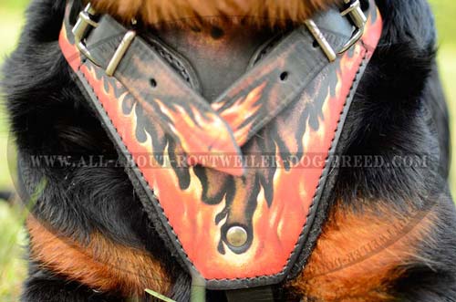 Chest Plate with Hand Painted Red Flames on Leather Dog Harness