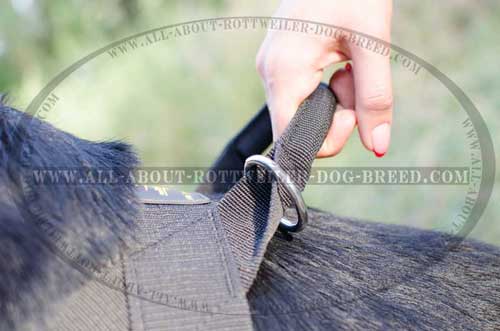 Easy Grab Handle with Nickel Plated Floating Ring on Nylon Dog Harness
