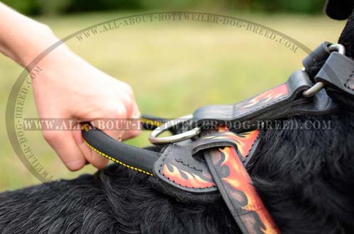 Strong Handle of Painted Leather Dog Harness for Rottweiler 