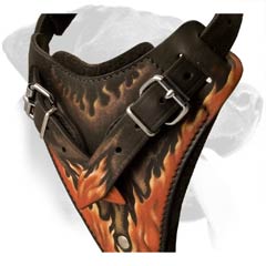 Leather Harness with nickel plated fittings