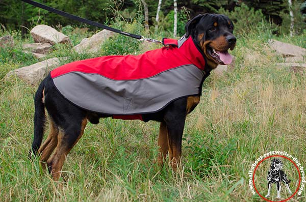 Extraordinary nylon Rottweiler coat