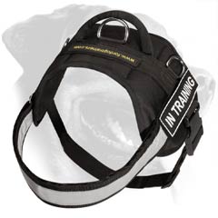 All weather Rottweiler Dog Nylon Harness