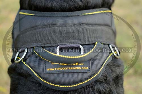 Exclusive Rottweiler Dog Harness