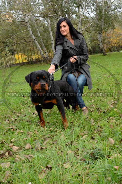 Easy-to-use Rottweiler Dog Leather Harness