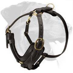 Strong Rottweiler Leather Harness