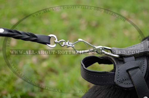 Safe Rottweiler Dog Leather Harness