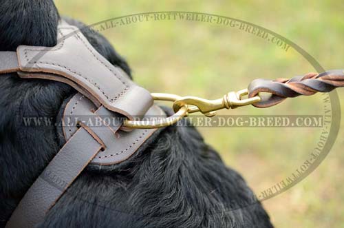 Exquisite Studded Leather Dog Harness