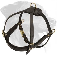 Rottweiler Breed Harness with rust-proof hardware