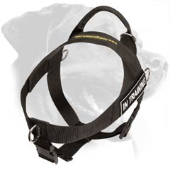 Rottweiler Nylon Harness with handle