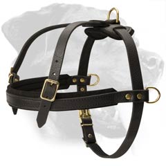 Safe Rottweiler Dog Harness