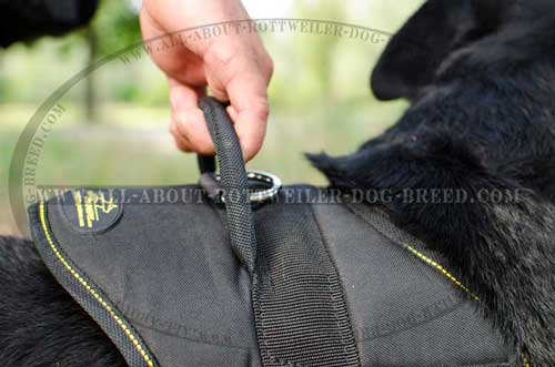 Rottweiler Nylon Padded Harness for Tracking Work