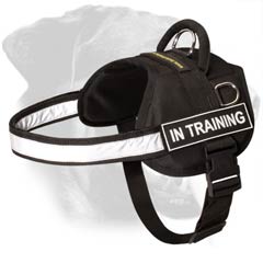 Rottweiler Dog Harness with patches