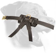 Leather Dog Harness Stitched Back Plate