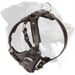 Leather Dog Harness with Padded Plated and Straps