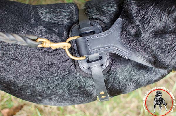 Spiked leather Rottweiler harness with back plate