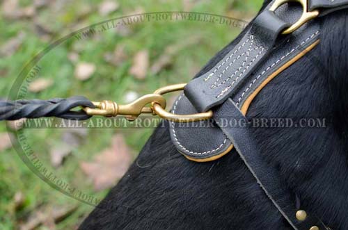 Exclusive Rottweiler Leather Dog Harness