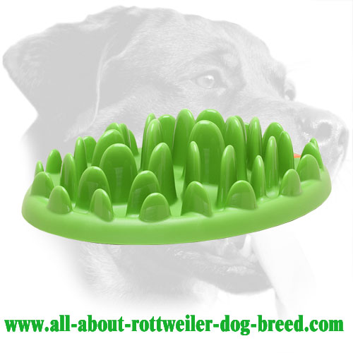 rottweiler items 1000 images about rottweiler items on toys and stainless rottweiler items 1000 images about rottweiler items on toys and stainless