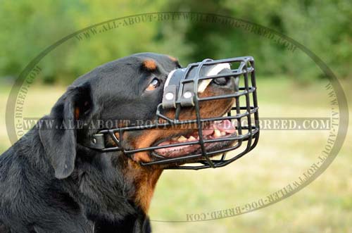 Adjustable Large Metal Cage Dog Muzzle